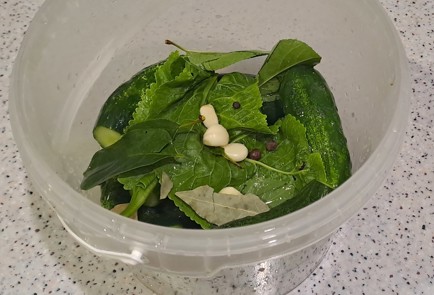 Фото шага рецепта Огурцы малосольные в ведре 186959 шаг 6  