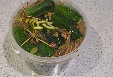 Фото шага рецепта Огурцы малосольные в ведре 186959 шаг 8  