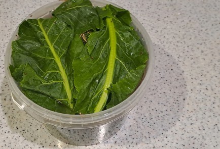 Фото шага рецепта Огурцы малосольные в ведре 186959 шаг 9  