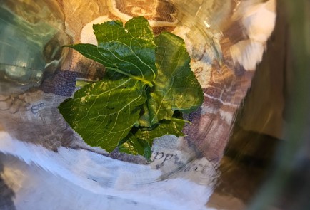 Фото шага рецепта Огурцы маринованные с листьями дуба и смородины 187044 шаг 4  