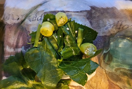 Фото шага рецепта Огурцы маринованные с листьями дуба и смородины 187044 шаг 5  