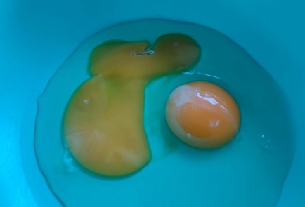 Фото шага рецепта Оладьи из яблок на кефире 187880 шаг 2