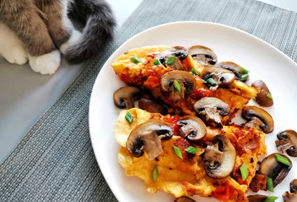 Фото шага рецепта Омлет с грибами 191234 шаг 13