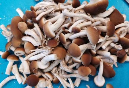 Фото шага рецепта Опята обжаренные на сале 175812 шаг 3  