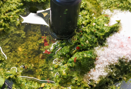 Фото шага рецепта Острое песто из рукколы и шпината 152187 шаг 7  