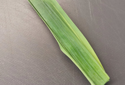 Фото шага рецепта Острый букет гарни для мясного супа 151999 шаг 1  