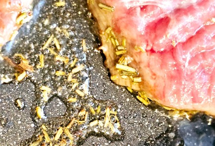 Фото шага рецепта Отбивная 190322 шаг 5  