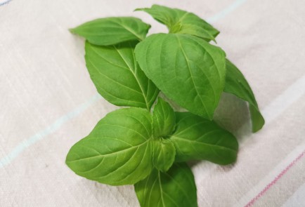 Фото шага рецепта Отбивные из куриной грудки 190602 шаг 9  