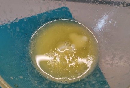 Фото шага рецепта Отварная кукуруза со сливочным маслом и зеленью 174658 шаг 8  