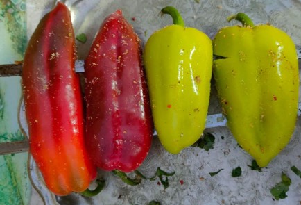 Фото шага рецепта Овощи на мангале 189873 шаг 9  