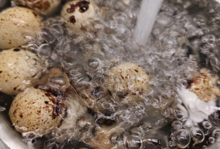 Фото шага рецепта Паштет из перепелиных яиц 174435 шаг 2  