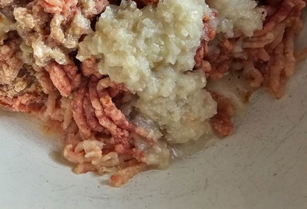 Фото шага рецепта Пельмени из утки 175595 шаг 1  