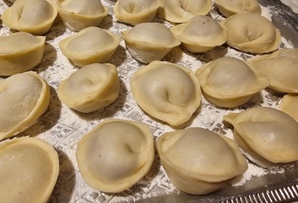 Фото шага рецепта Пельмени из утки 175595 шаг 10  