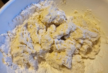 Фото шага рецепта Пельмени из утки 175595 шаг 5  