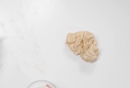 Фото шага рецепта Пельмени с индейкой 175266 шаг 4  