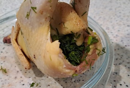 Фото шага рецепта Перепел в духовке с укропом морковью и луком 189555 шаг 8  