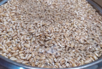 Фото шага рецепта Перловка с грибами и морковью 189393 шаг 1  