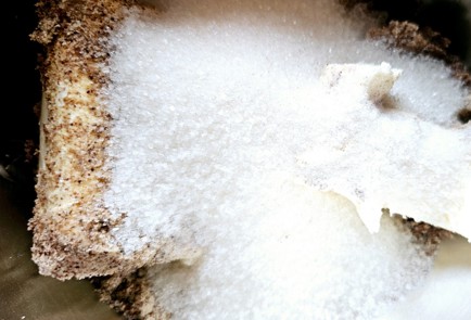 Фото шага рецепта Песочное печенье 190649 шаг 3  