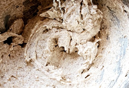 Фото шага рецепта Песочное печенье 190649 шаг 6  