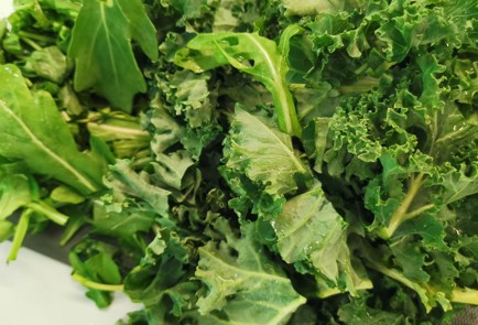 Фото шага рецепта Песто из кейла и руколы 174167 шаг 2  