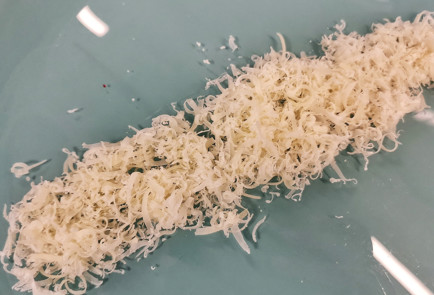 Фото шага рецепта Пикантный скрэмбл с помидорами и сыром 151509 шаг 26