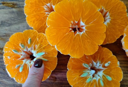 Фото шага рецепта Пирог на кефире с мандаринами и цукатами 188230 шаг 15