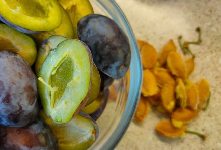 Фото шага рецепта Пирог со сливами на слоеном тесте 190242 шаг 6  