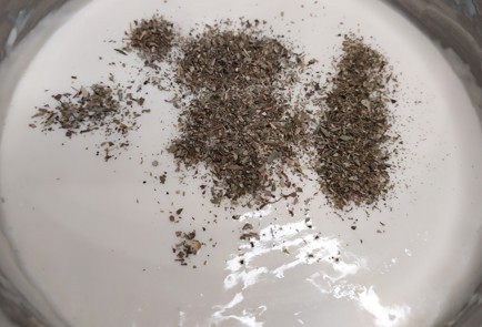 Фото шага рецепта Плавленый сыр с прованскими травами 188814 шаг 11  