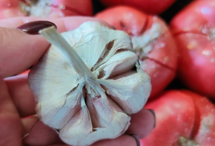 Фото шага рецепта Помидоры с чесноком в духовке 189925 шаг 4  