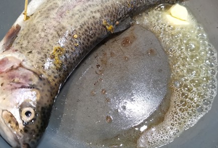 Фото шага рецепта Порционная форель на сковороде 173693 шаг 10  