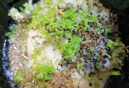 Фото шага рецепта Порционная форель с нежной начинкой 173958 шаг 7  