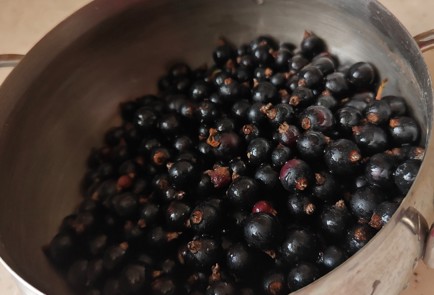 Фото шага рецепта Повидло из черной смородины 189844 шаг 1  
