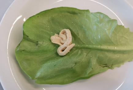 Фото шага рецепта ППбутерброды 188780 шаг 7  