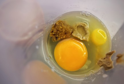 Фото шага рецепта Простой французский домашний майонез 152239 шаг 1  