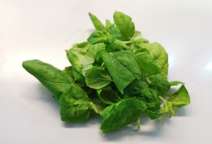 Фото шага рецепта Противовоспалительный мятный чай 140728 шаг 2  