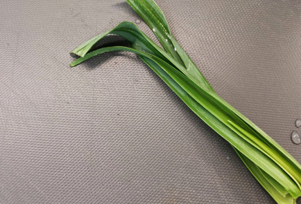 Фото шага рецепта Прованский букет гарни с чесноком 152003 шаг 1  