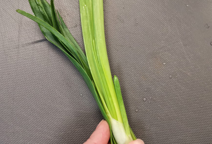 Фото шага рецепта Прованский букет гарни с чесноком 152003 шаг 2  