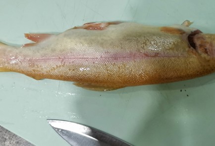 Фото шага рецепта Радужная форель с карибским соусом 175199 шаг 8  