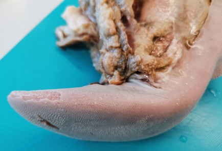 Фото шага рецепта Салат из говяжьего языка 176182 шаг 4  