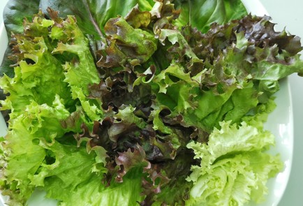 Фото шага рецепта Салат из утки с заправкой из черешни 173853 шаг 1  