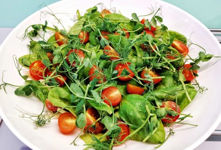 Фото шага рецепта Салат из варенокопченой утки с сыром сулугуни 140425 шаг 4  