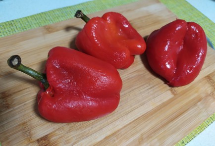 Фото шага рецепта Салат из запеченных перцев 189744 шаг 5  