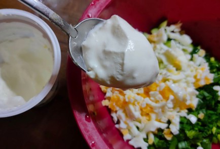 Фото шага рецепта Салат из зеленого лука с огурцом яйцом и сметаной 175938 шаг 10  