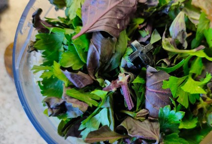 Фото шага рецепта Салат из жареных на сковороде баклажан с ореховым соусом 190122 шаг 16  