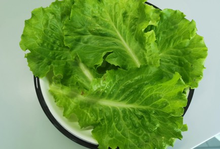 Фото шага рецепта Салат капрезе 190499 шаг 2  