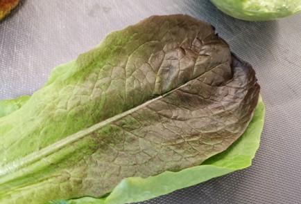 Фото шага рецепта Салат ромен с яйцом и авокадо 150977 шаг 3  