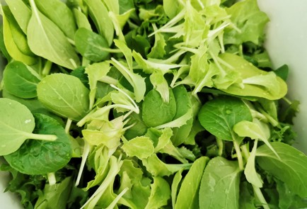 Фото шага рецепта Салат с адыгейским сыром зеленью и орехами 151218 шаг 4