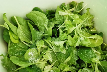 Фото шага рецепта Салат с адыгейским сыром зеленью и орехами 151218 шаг 6