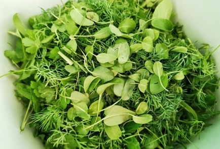 Фото шага рецепта Салат с адыгейским сыром зеленью и орехами 151218 шаг 8