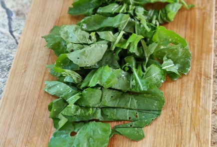 Фото шага рецепта Салат с бурратой помидорами и курицей гриль 174113 шаг 1  